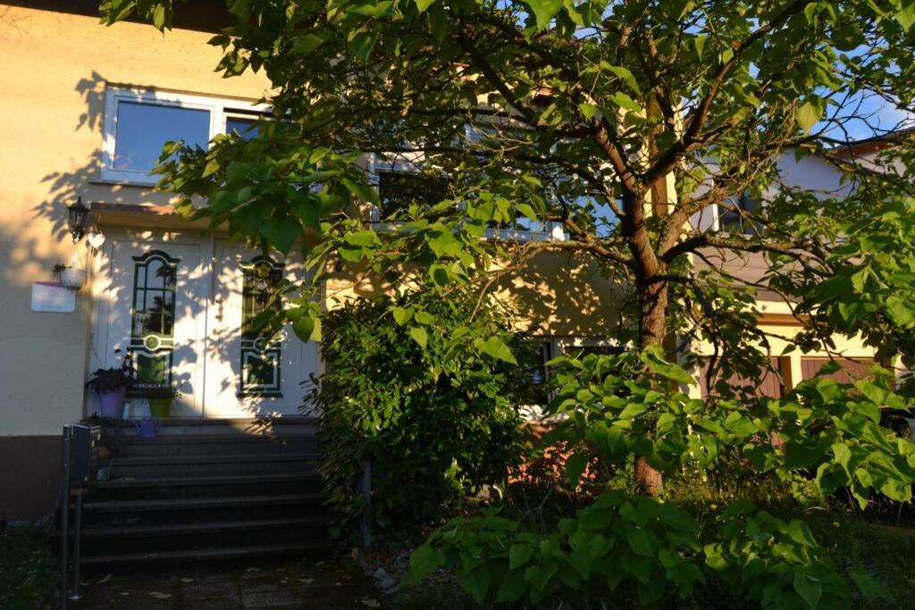 Appartement Maison Madlene